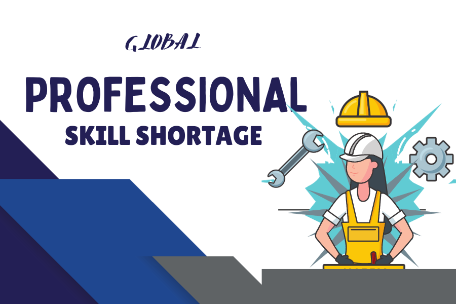 Bridging the Gap: Navigating the Professional Skill Shortage in the Global Market